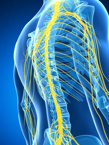 Neuralgia Intercostal: Todo lo que Necesitas Saber