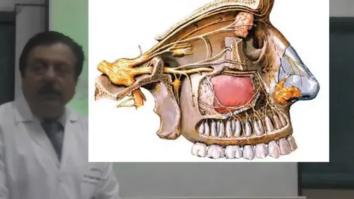 Neuropatía del nervio mandibular