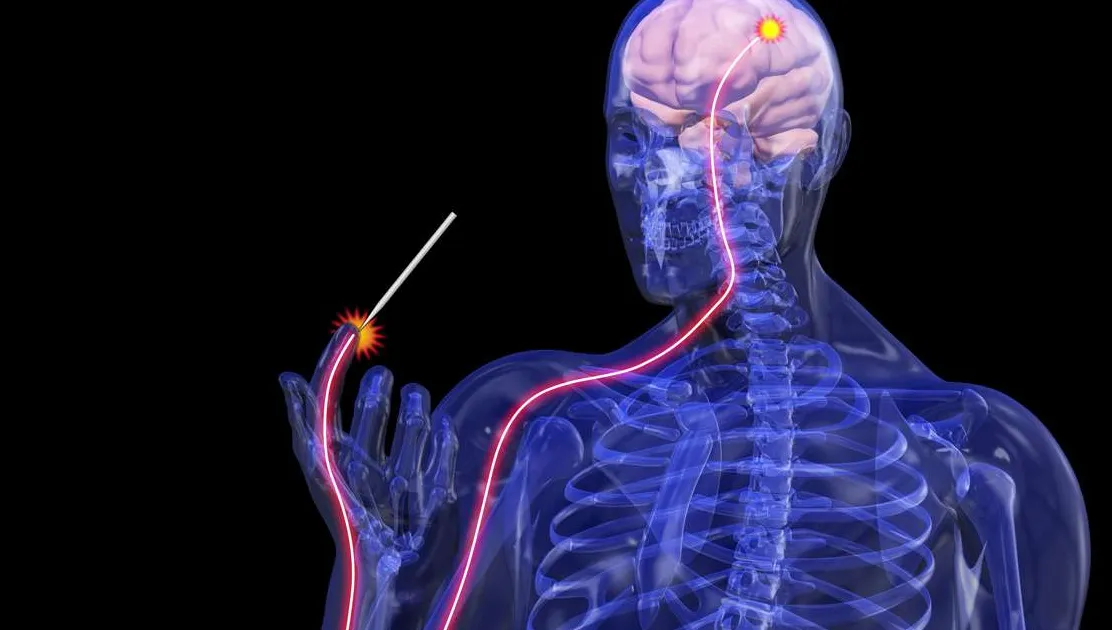 Opciones de Tratamiento para las Neuropatías Hereditarias