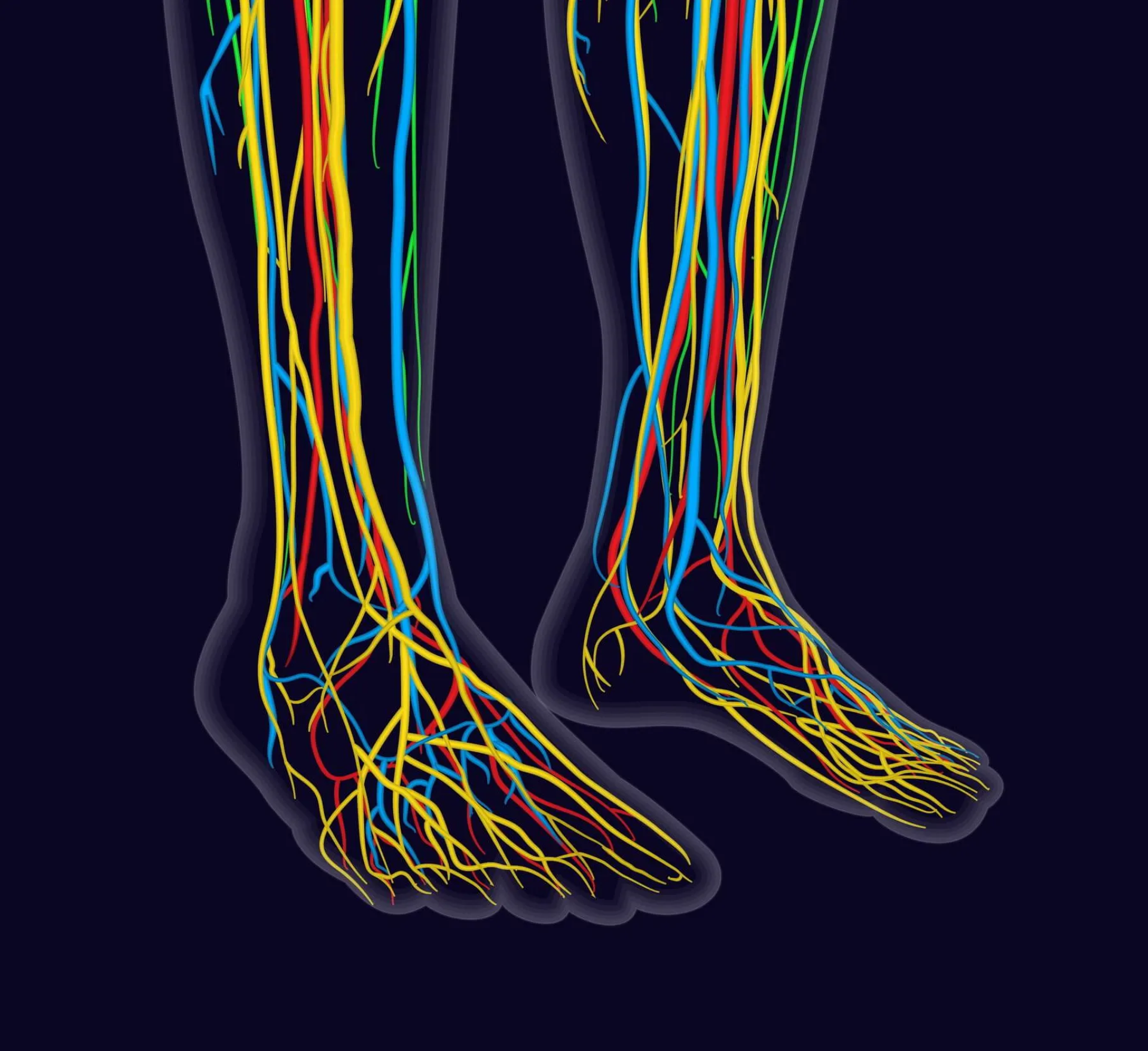 Entiende la Neuropatía Inflamatoria