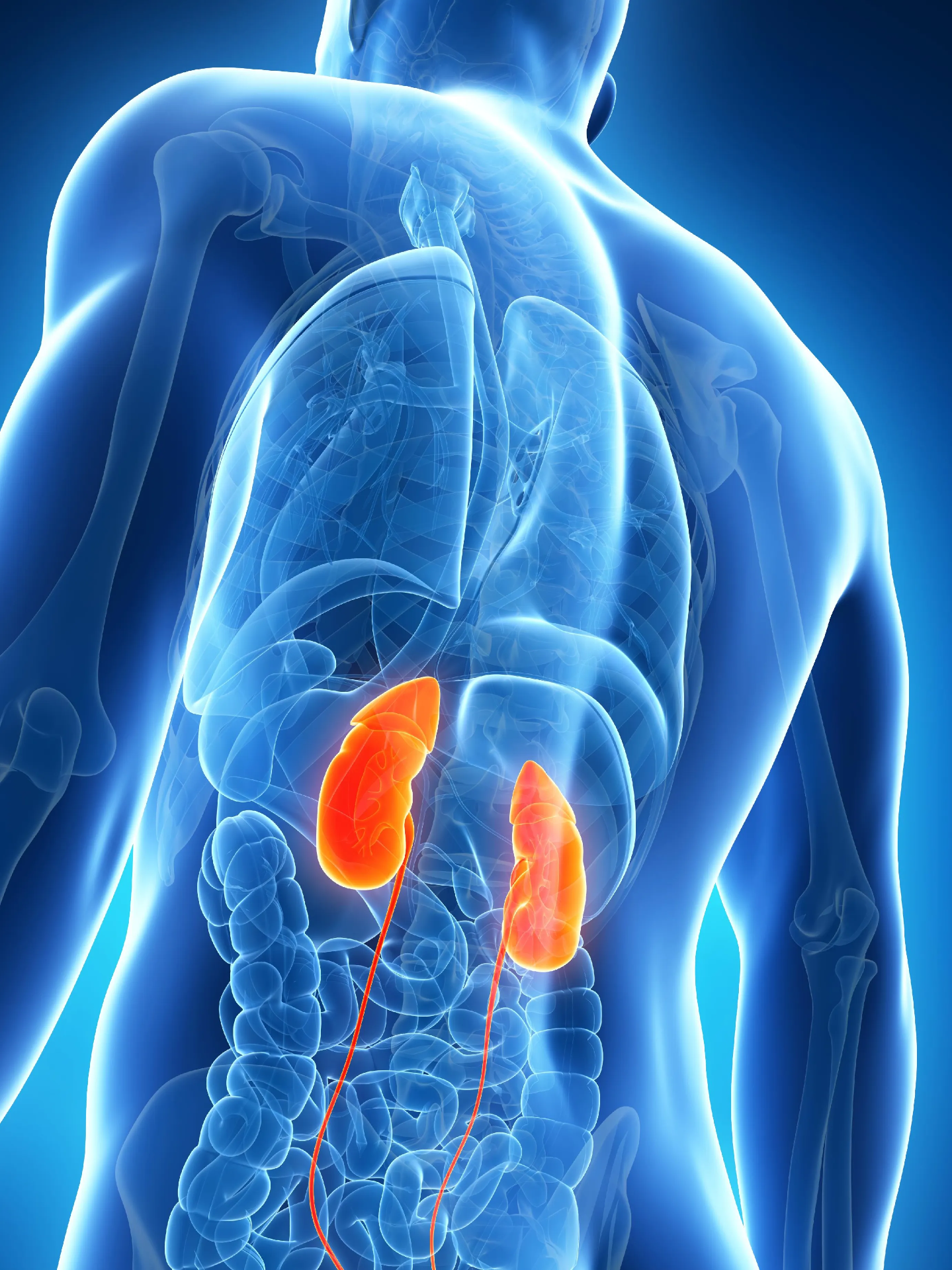 Neuropatía por Enfermedad Renal Crónica: Síntomas, Diagnóstico y Tratamiento