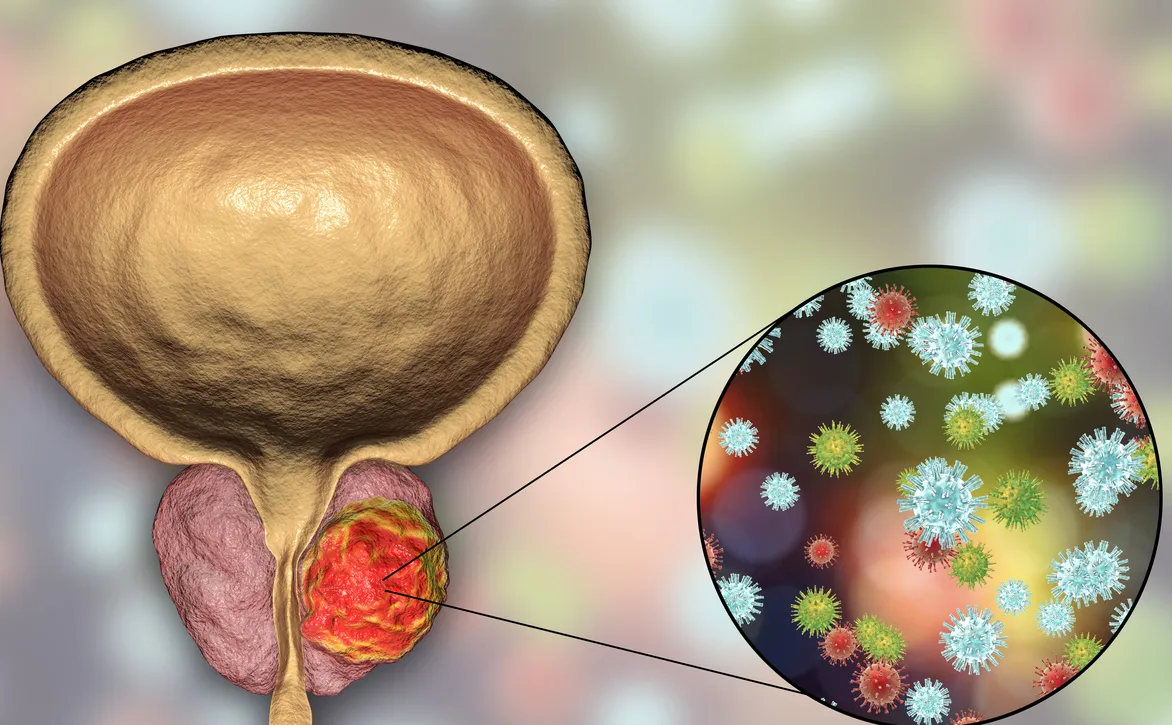 ¿Por Qué Ocurre la Pérdida de Control Sobre la Vejiga o el Intestino?