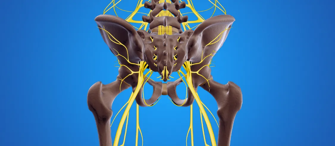 ¿Qué es el nervio interóseo posterior?